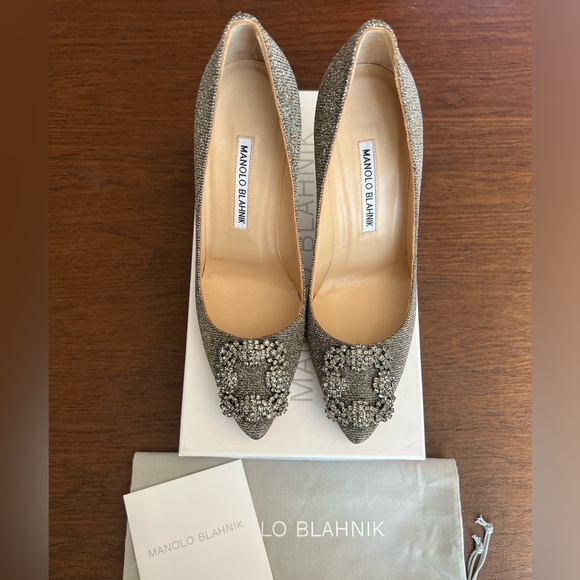 Manolo Blahnik Hangisi Pointed Toe Pump - Picture 2 of 9